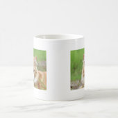 Orangene und weiße Katze, so süß! Kaffeetasse (Mittel)