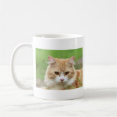 Orangene und weiße Katze, so süß! Kaffeetasse (Links)