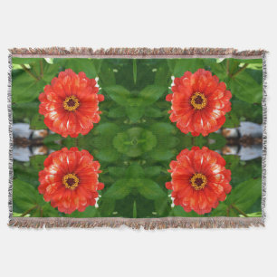 Orangene Zinnia Decke