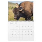 Orangener Tabby-Kalender Kalender (Feb 2027)