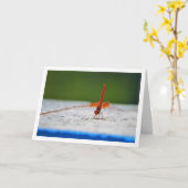 Orangenflügge Karte (Gelbe Blume)