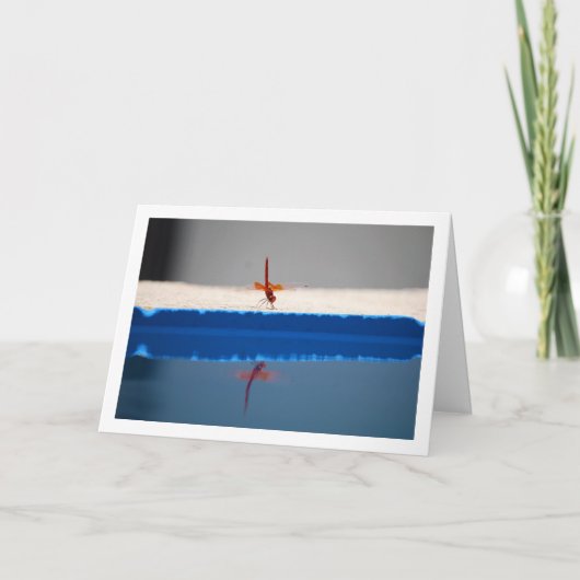 Orangenflügge Karte (Vorderseite)