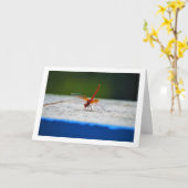 Orangenflügge Karte (Gelbe Blume)