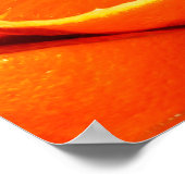 Orangenfotografie Poster (Ecke)