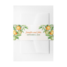 Orangenfrucht Botanisch