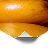Orangenfrucht Florida Markt Orange Poster (Ecke)