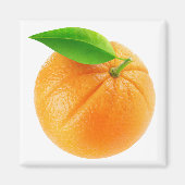 Orangenfrucht Magnet (Vorne)