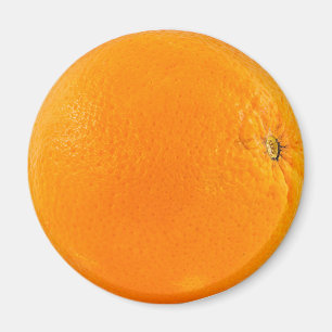 Orangenfrucht Magnet