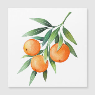Orangenfrüchte in Aquarellfarben: Abgeschiedene Br Magnetkarte