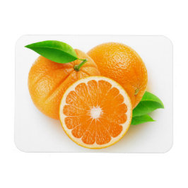 Orangenfrüchte Magnet