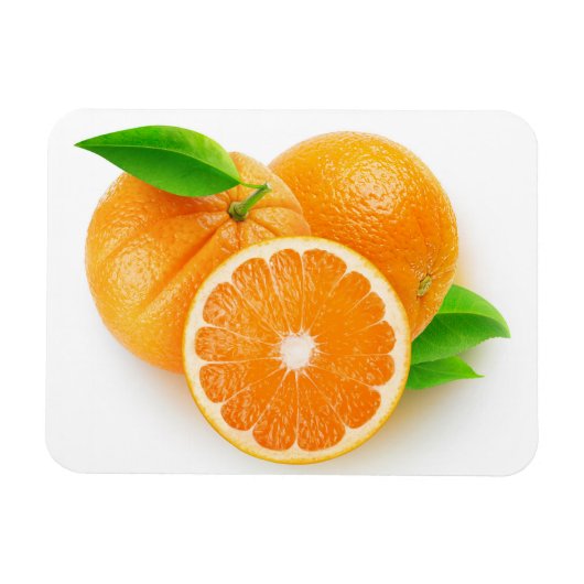 Orangenfrüchte Magnet (Horizontal)