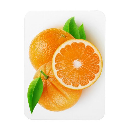 Orangenfrüchte Magnet (Vertikal)