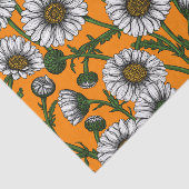 Orangenfrüchte Seidenpapier (Ausschnitt)