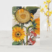 Orangengelbe Pflanze Karte (Gelbe Blume)