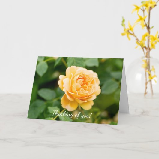 Orangengelbe Rose Karte (Gelbe Blume)