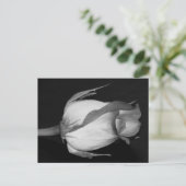 Orangengelbe Rose Postkarte (Stehend Vorderseite)