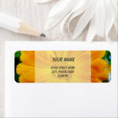 Orangengerbera-Blume (Insitu)