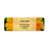 Orangengerbera-Blume (Vorne)