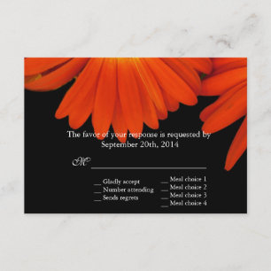 Orangengerbera daisa Blume UAWG RSVP Karte