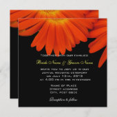 Orangengerbera daisy Hochzeitseinladung Einladung (Vorne/Hinten)