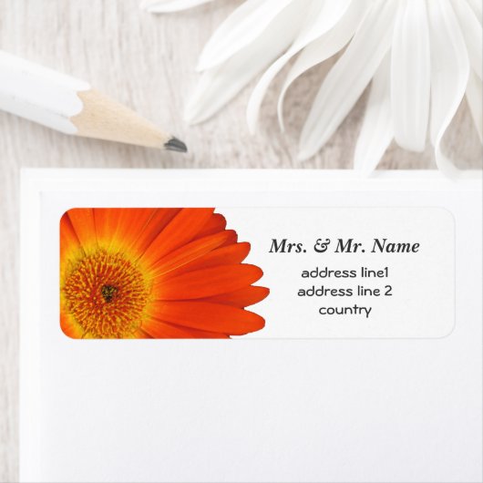 Orangengras-Blume (Insitu)