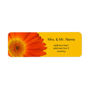 Orangengras-Blume