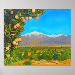 Orangenhaine Schnee bedeckt Mount Baldy Anfang 190 Poster