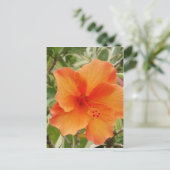 Orangenhawaii-Hibiskus-Pflanze Postkarte (Stehend Vorderseite)