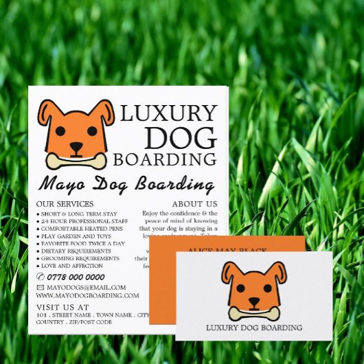 Orangenhund mit Knochen, Hund-Boarding, Werbung Flyer