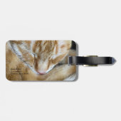 Orangenkatze Gepäckanhänger (Rückseite horizontal)