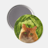 Orangenkatze Magnet (Vorderseite/Rückseite)