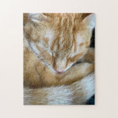 Orangenkatze Puzzle (Vertikal)