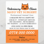 Orangenkatze, Tierarzt, Veterinärdienst Flyer (Vorne)