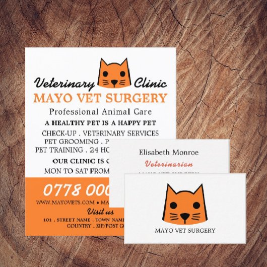 Orangenkatze, Tierarzt, Veterinärdienst Flyer