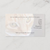 Orangenkatzenaufnahme Visitenkarte (Rückseite)