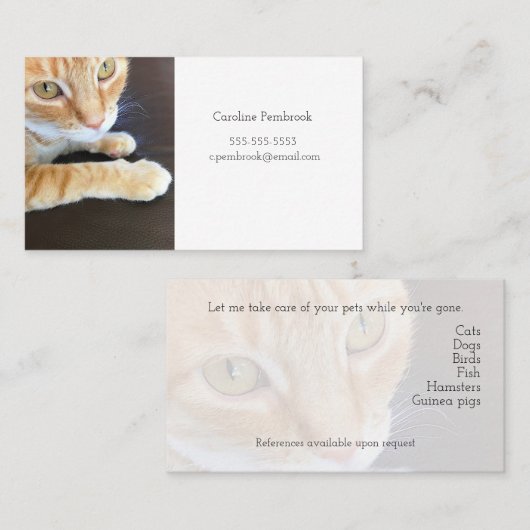 Orangenkatzenaufnahme Visitenkarte (Vorne/Hinten)