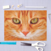 Orangenkatzenpapier Seidenpapier (Handwerk)