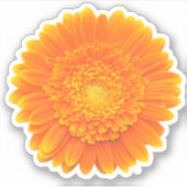 Orangenkeime Aufkleber (Vorderseite)