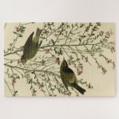 Orangenkrönter Warbler, Audubons Vögel von Amerika Puzzle (Horizontal)