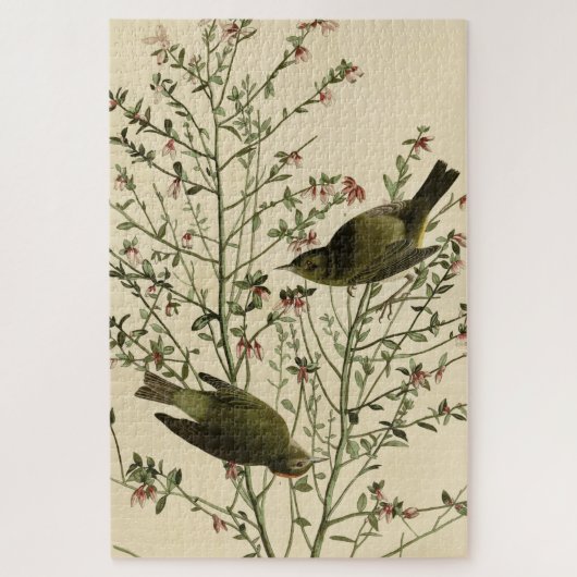 Orangenkrönter Warbler, Audubons Vögel von Amerika Puzzle (Vertikal)