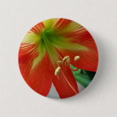Orangenlilie Button (Vorderseite)