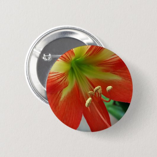 Orangenlilie Button (Vorne & Hinten)