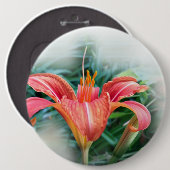 Orangenlilie Button (Vorne & Hinten)