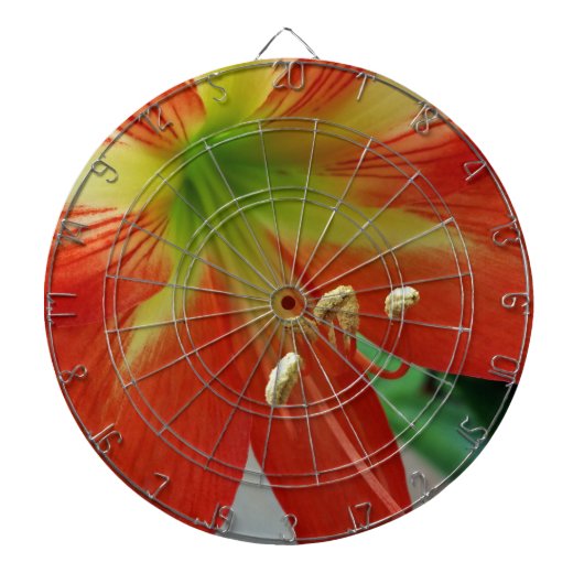 Orangenlilie Dartscheibe (vorne)