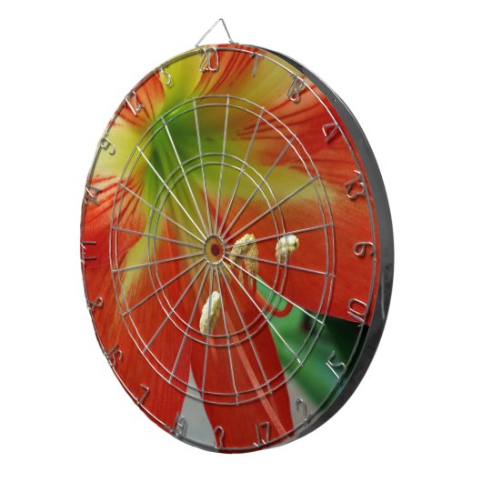 Orangenlilie Dartscheibe (Vorderseite rechts)