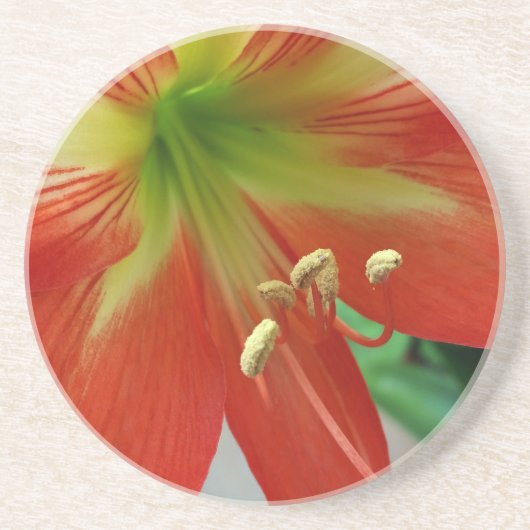 Orangenlilie Getränkeuntersetzer (Vorne)