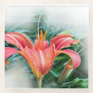 Orangenlilie Glasuntersetzer