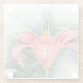 Orangenlilie Glasuntersetzer (Rückseite)