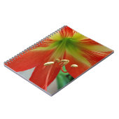 Orangenlilie Notizblock (Linke Seite)