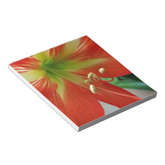 Orangenlilie Notizblock (angewinkelt)